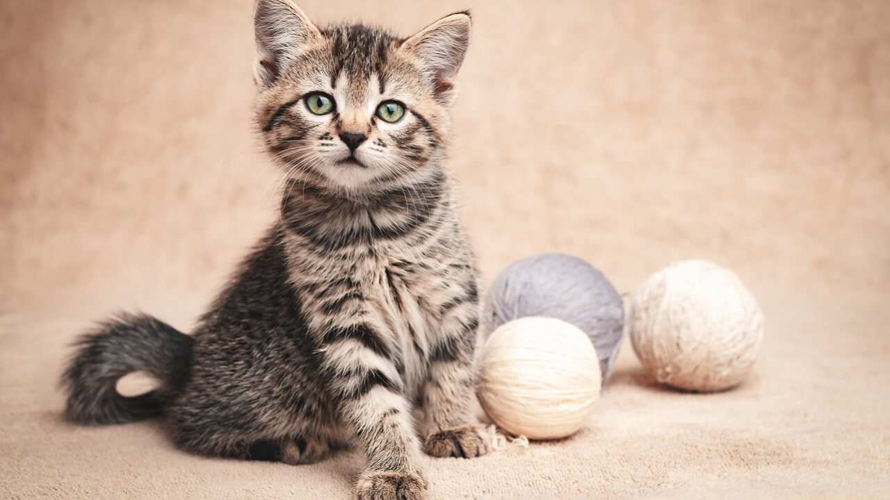 Pour répondre à votre demande, je vais transformer le titre d&rsquo;origine en un titre légèrement putaclic tout en intégrant des mots clés pour le SEO, sans inclure de date si elle n&rsquo;était pas présente à l&rsquo;origine. Cependant, vous n&rsquo;avez pas fourni le titre original. Si vous pouviez le partager, je serais ravi de vous aider à le reformuler.
